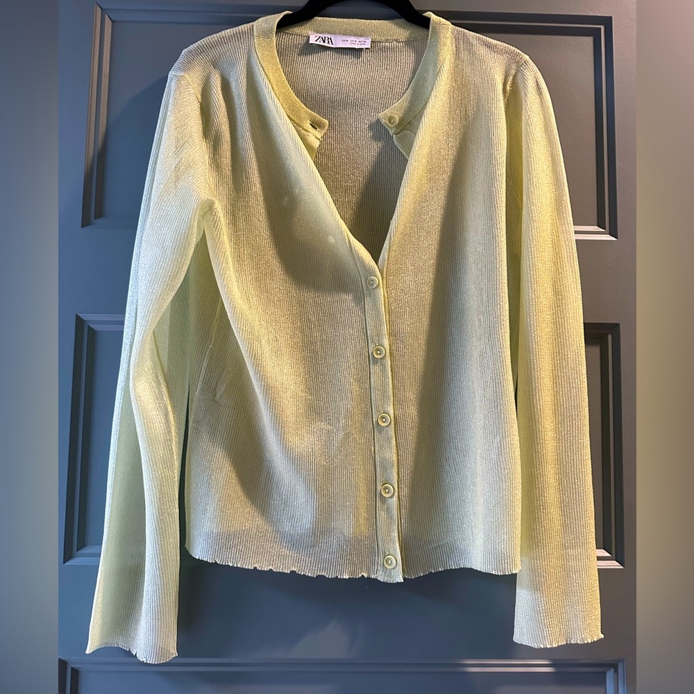 Zara sparkly top